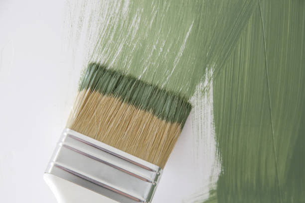 Best Mold Damage Restoration  in Hagerman, ID