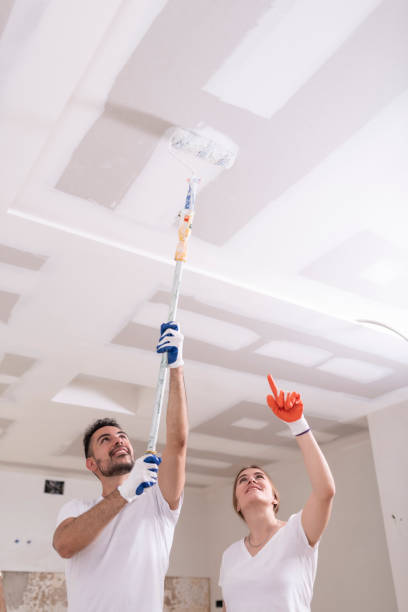 Best Dehumidification Services  in Hagerman, ID