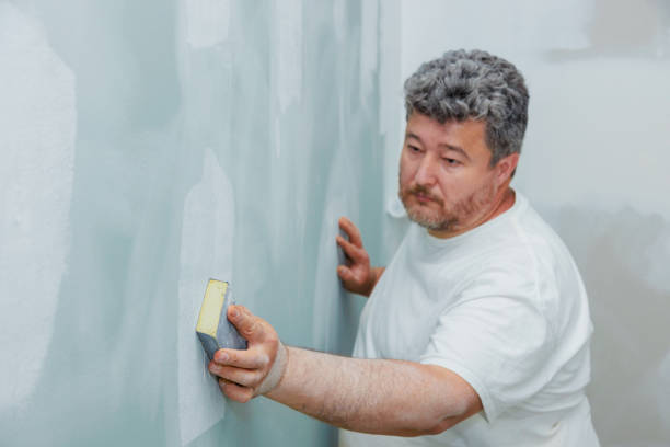 Best Asbestos and Lead Testing During Mold Inspection  in Hagerman, ID