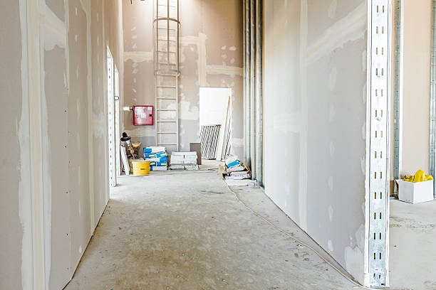 Best Basement Mold Removal  in Hagerman, ID
